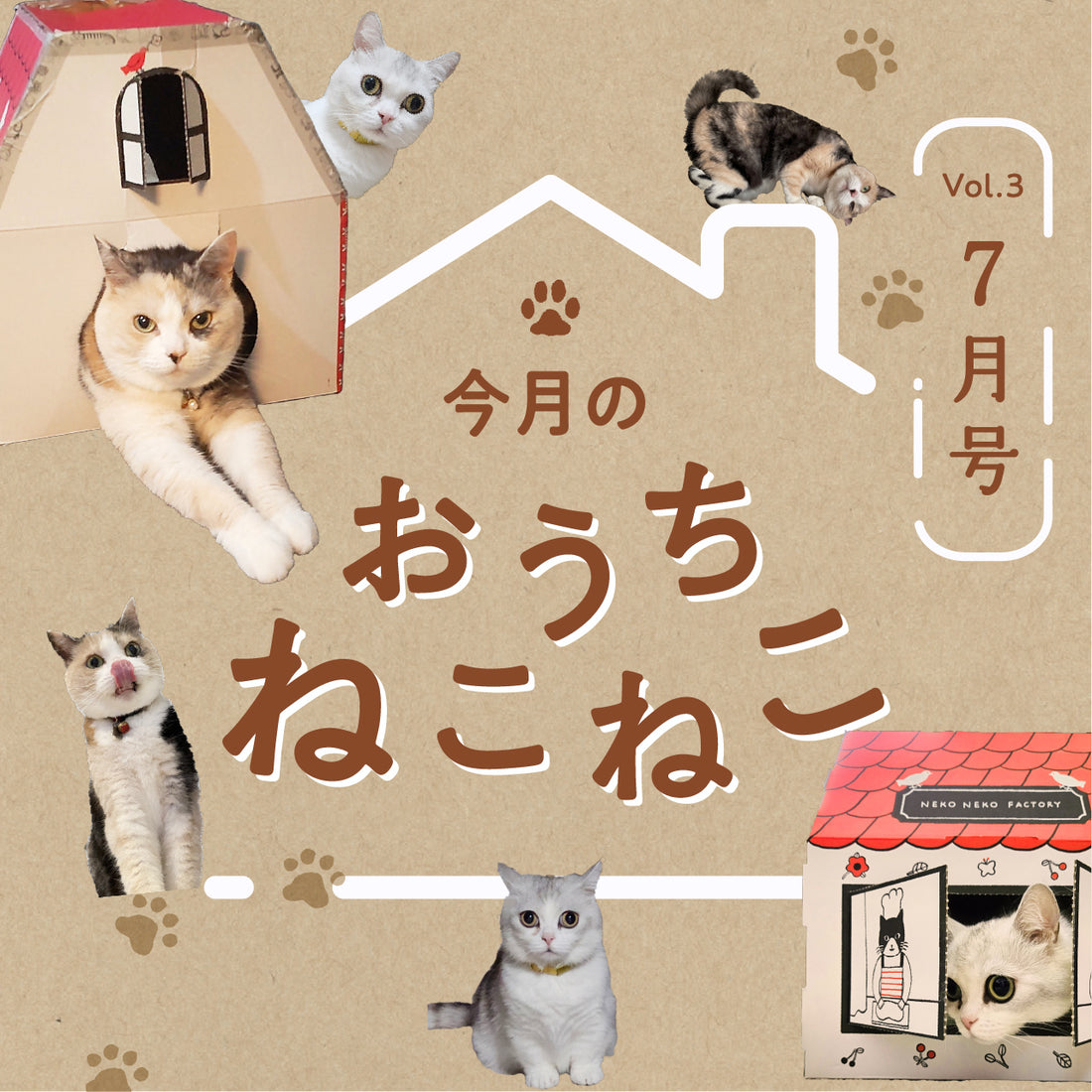 🐈おうちのねこねこ🐈第3弾(ころんちゃん・ペルラちゃん)
