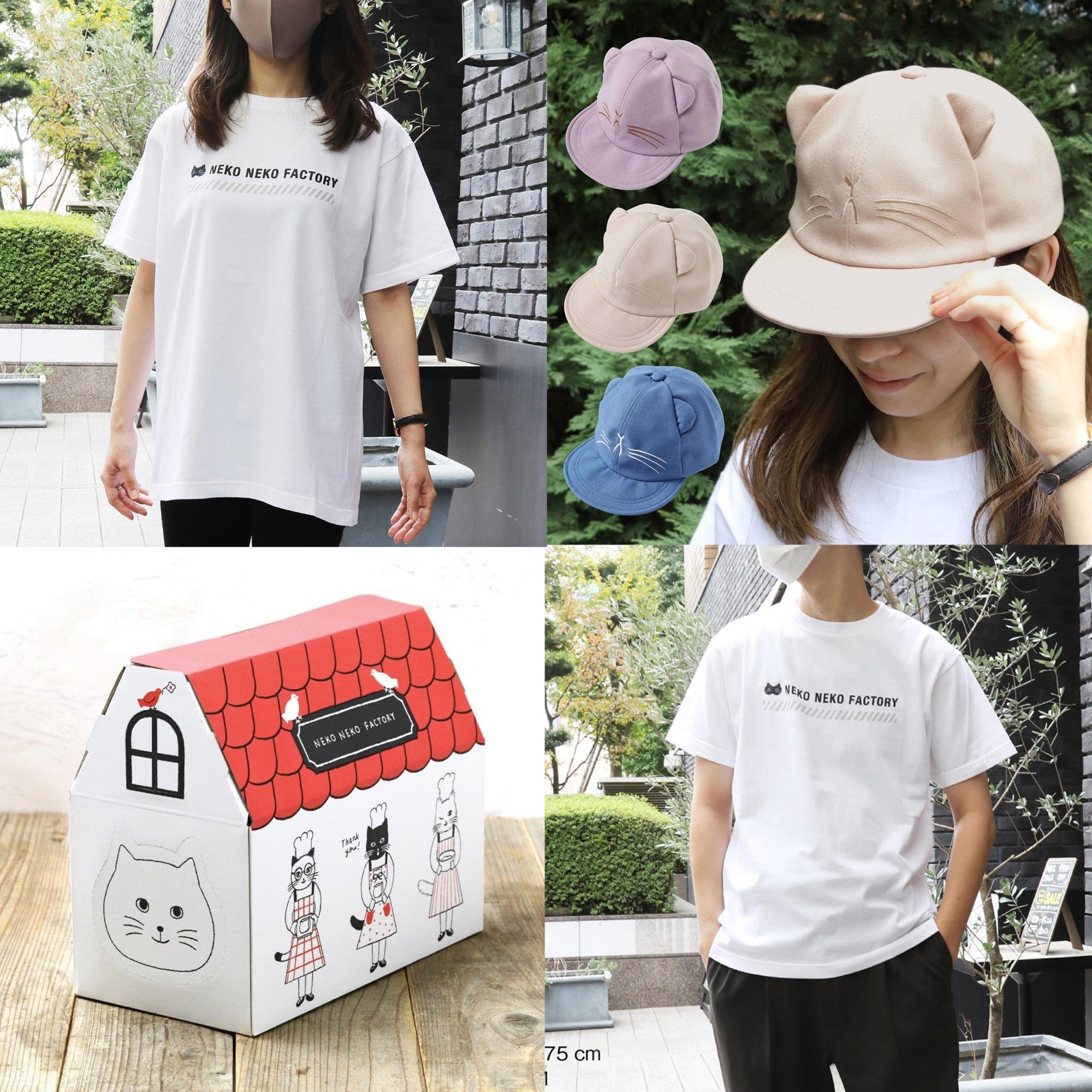 暑い夏もねこねこと一緒に乗り越えよう！】ねこねこグッズのご紹介