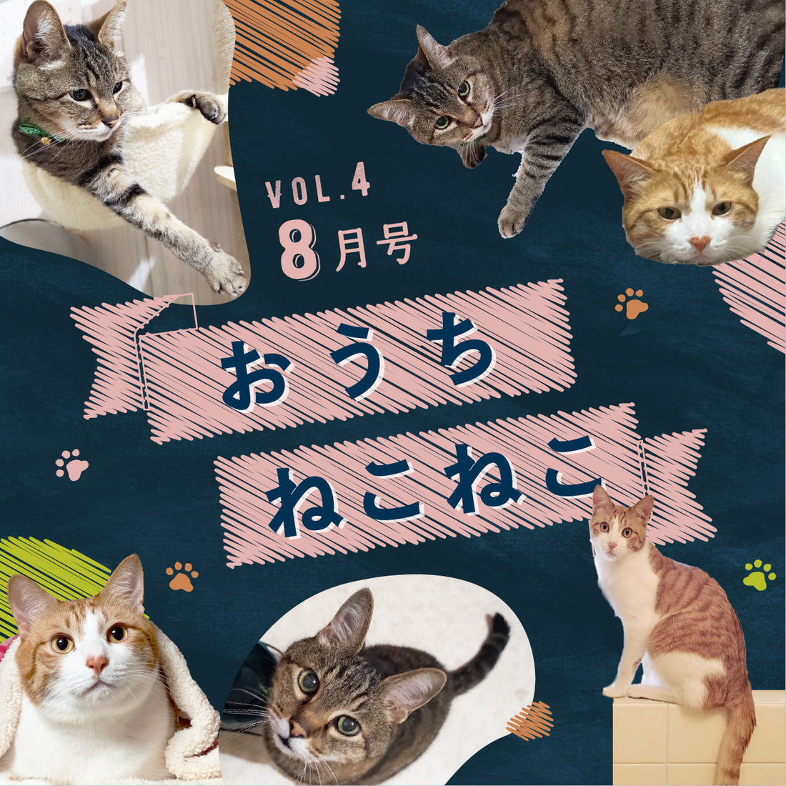 🐈おうちのねこねこ🐈第4弾(パインくん・ミーくん)