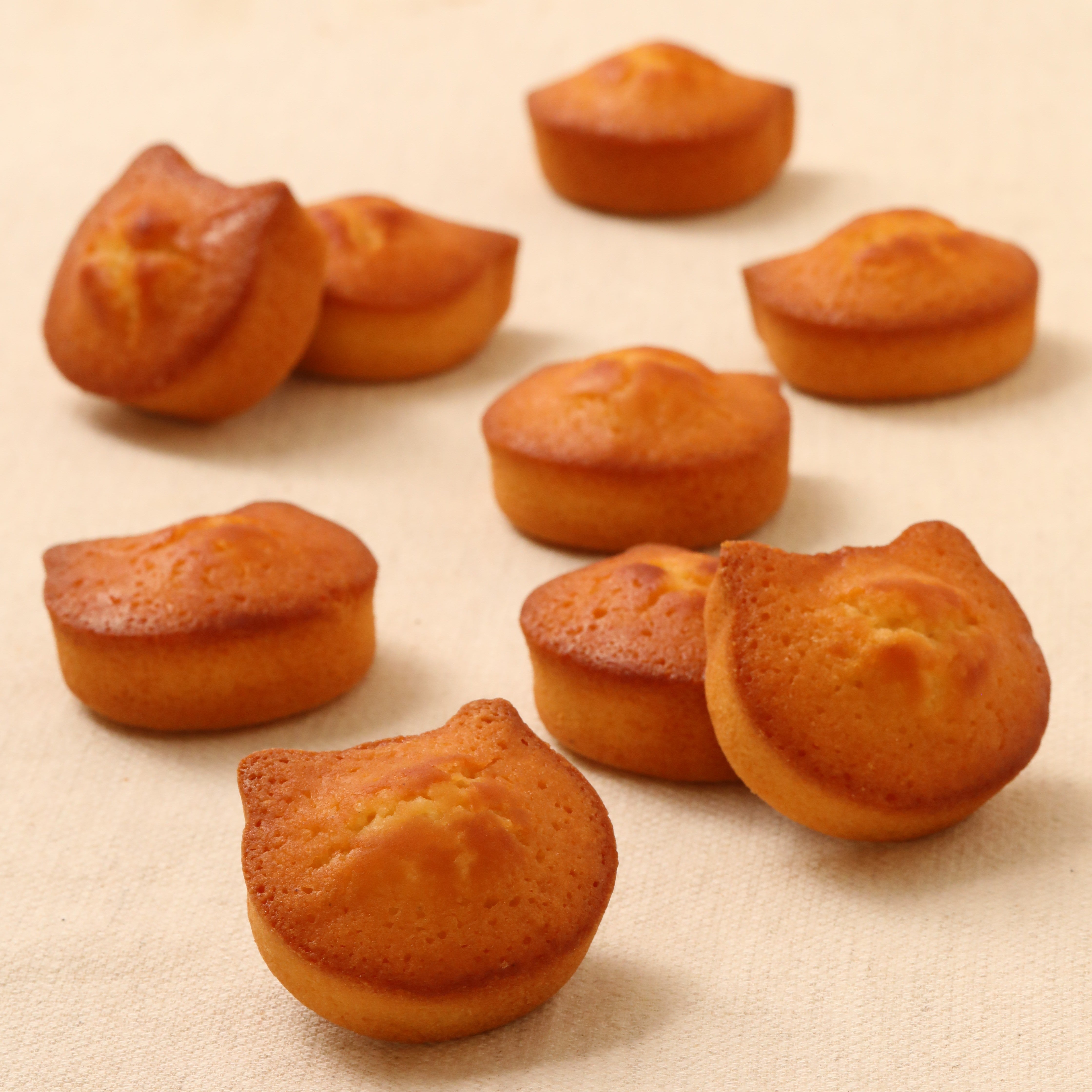 ふぃにゃんシェ 1箱（4個入）