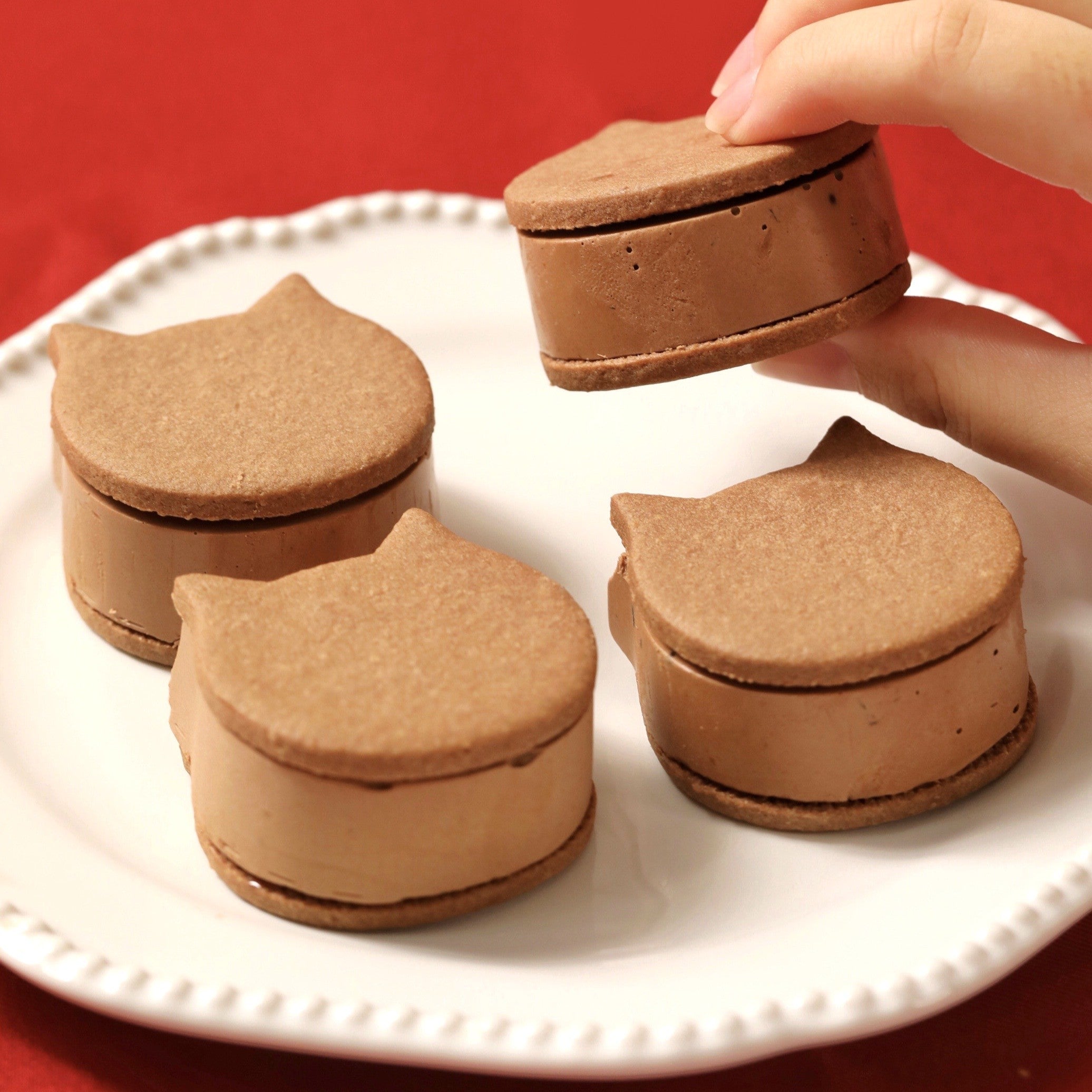 ねこサンド専用 ねこねこバターサンド～オレンジショコラ～ 1箱（4個入）