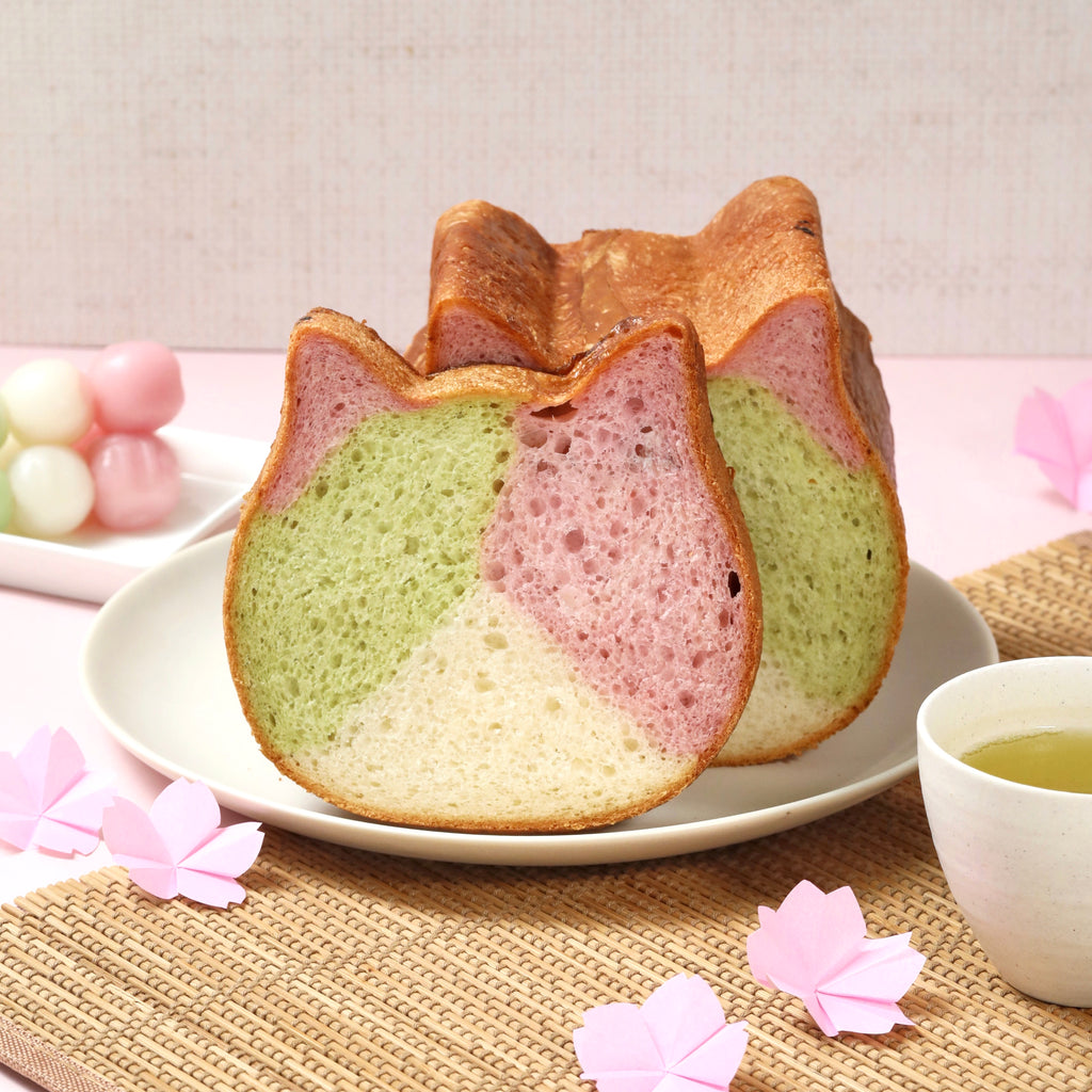 🌸3月限定☕ねこねこ食パン2種＆3匹のにゃんチー【送料込み】