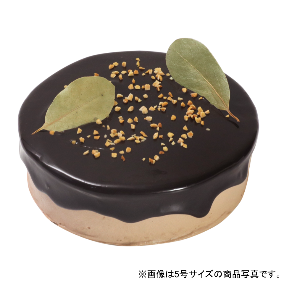 チョコレートケーキ　5号（15㎝）