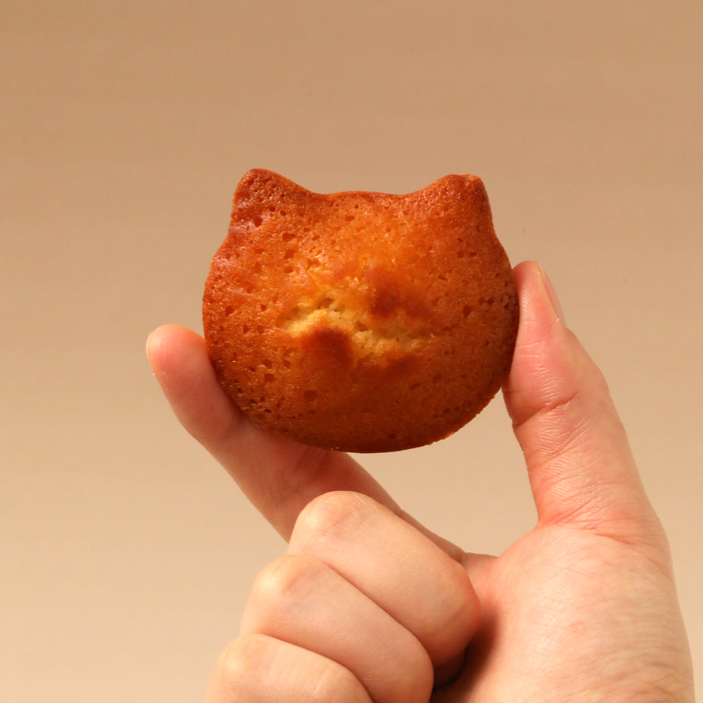 ふぃにゃんシェ 1箱（4個入）