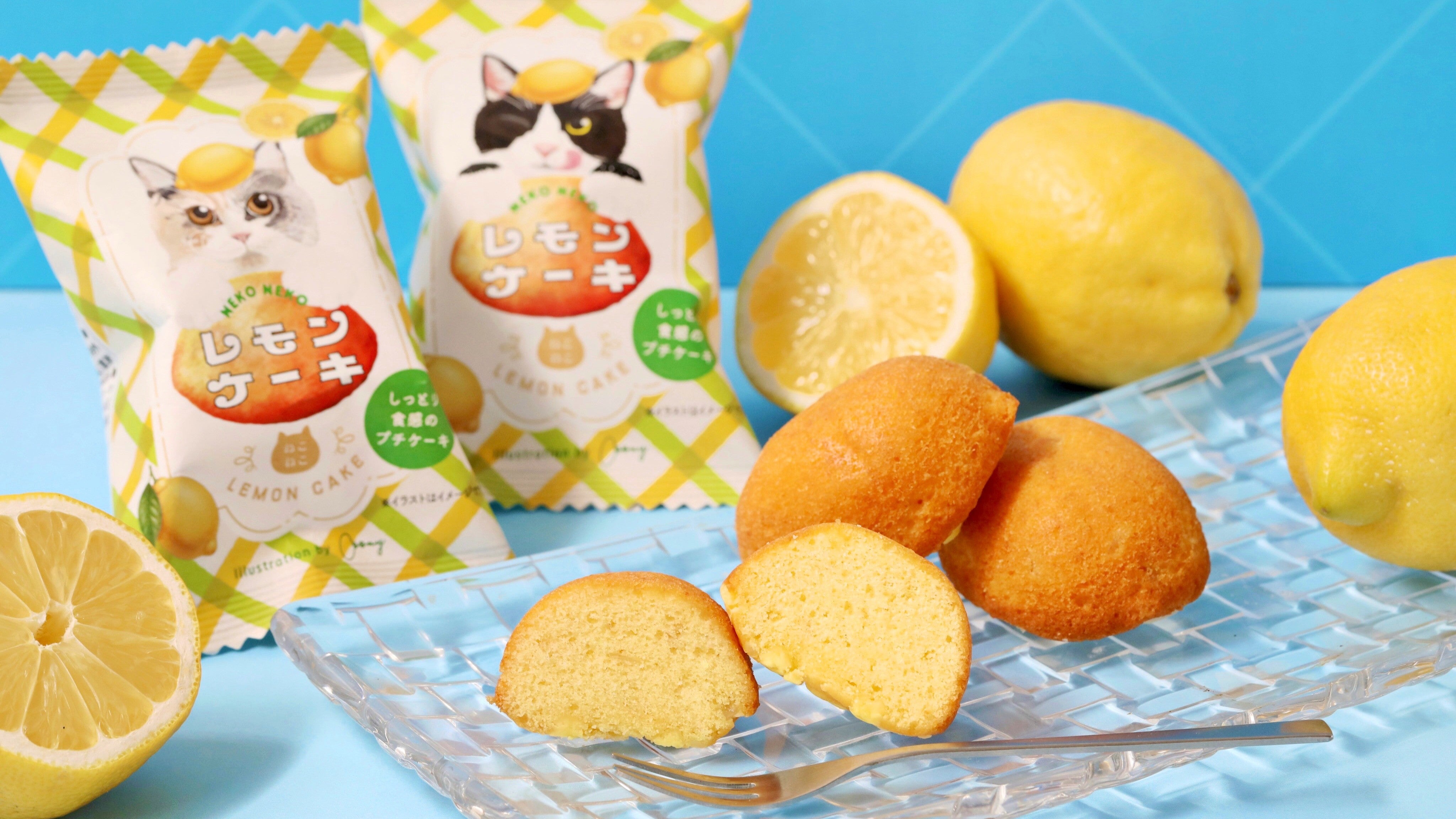 NEKO NEKO Summer Vacation ～喫茶ねこねこ～